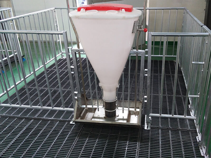 Dry and wet feeder for pig