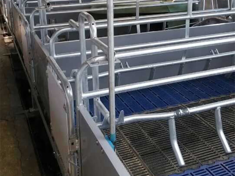 farrowing crates for pigs,sow farrowing crate,farrowing crate for sale